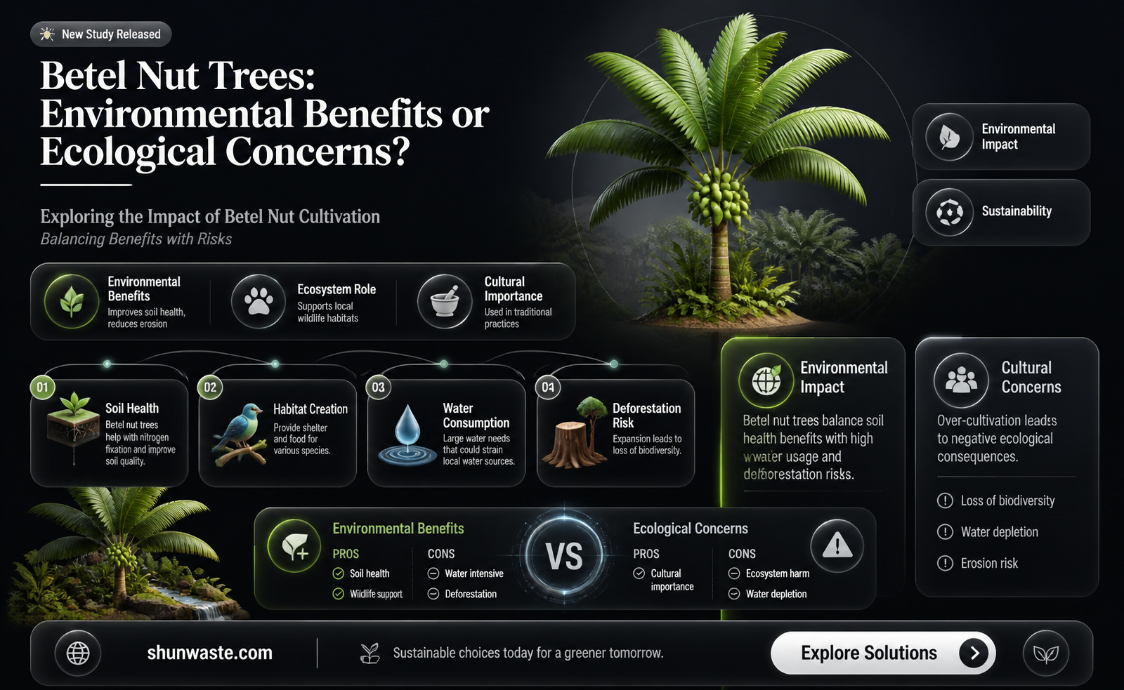 are betel nut trees good for the environment