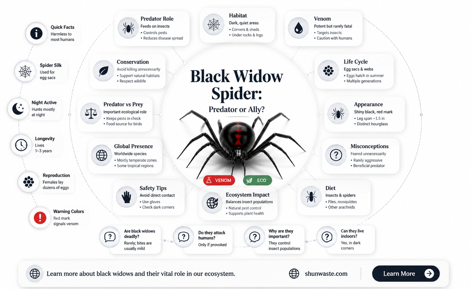 are black widows good for the environment