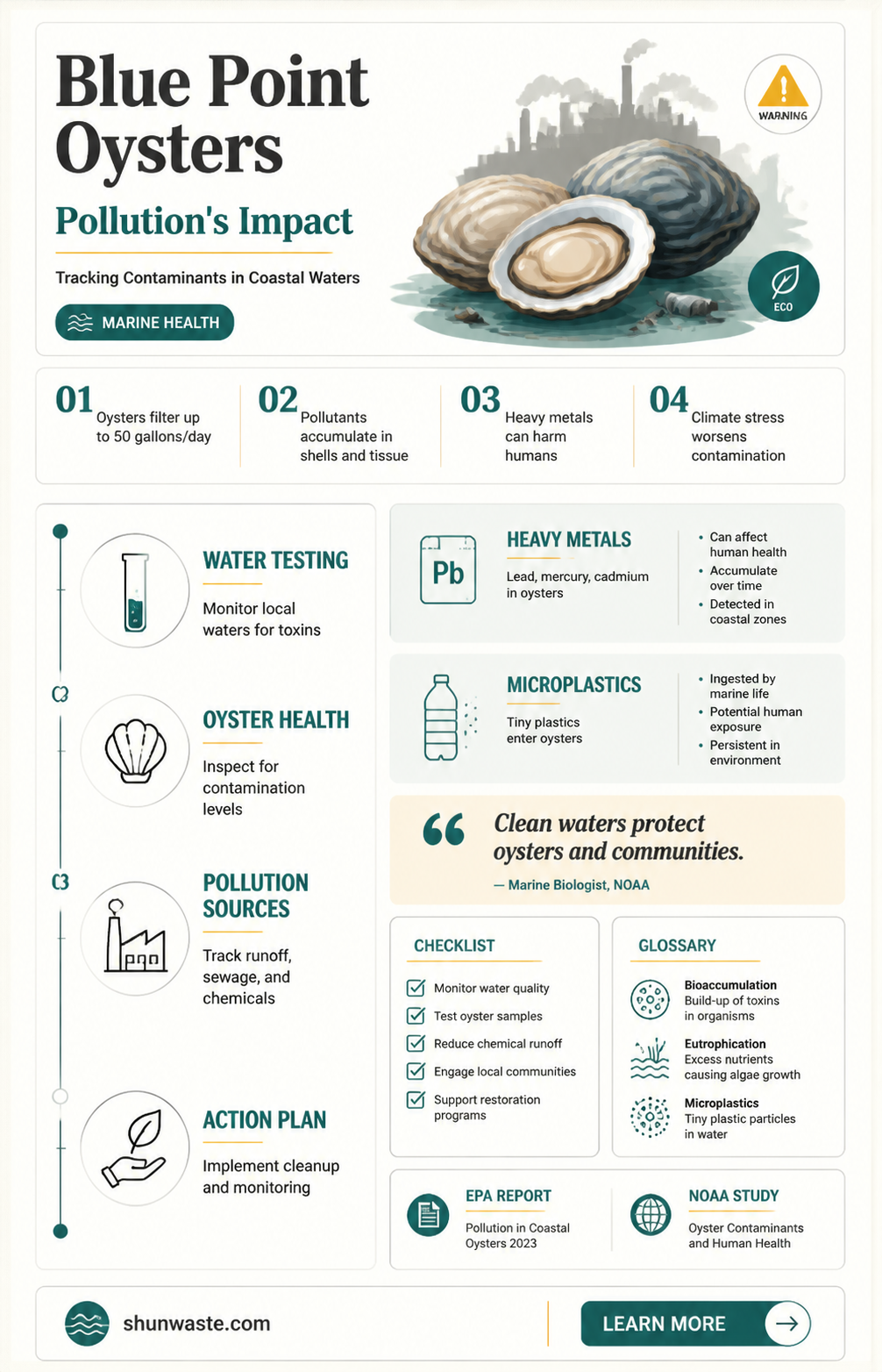 are blue point oysters more polluted