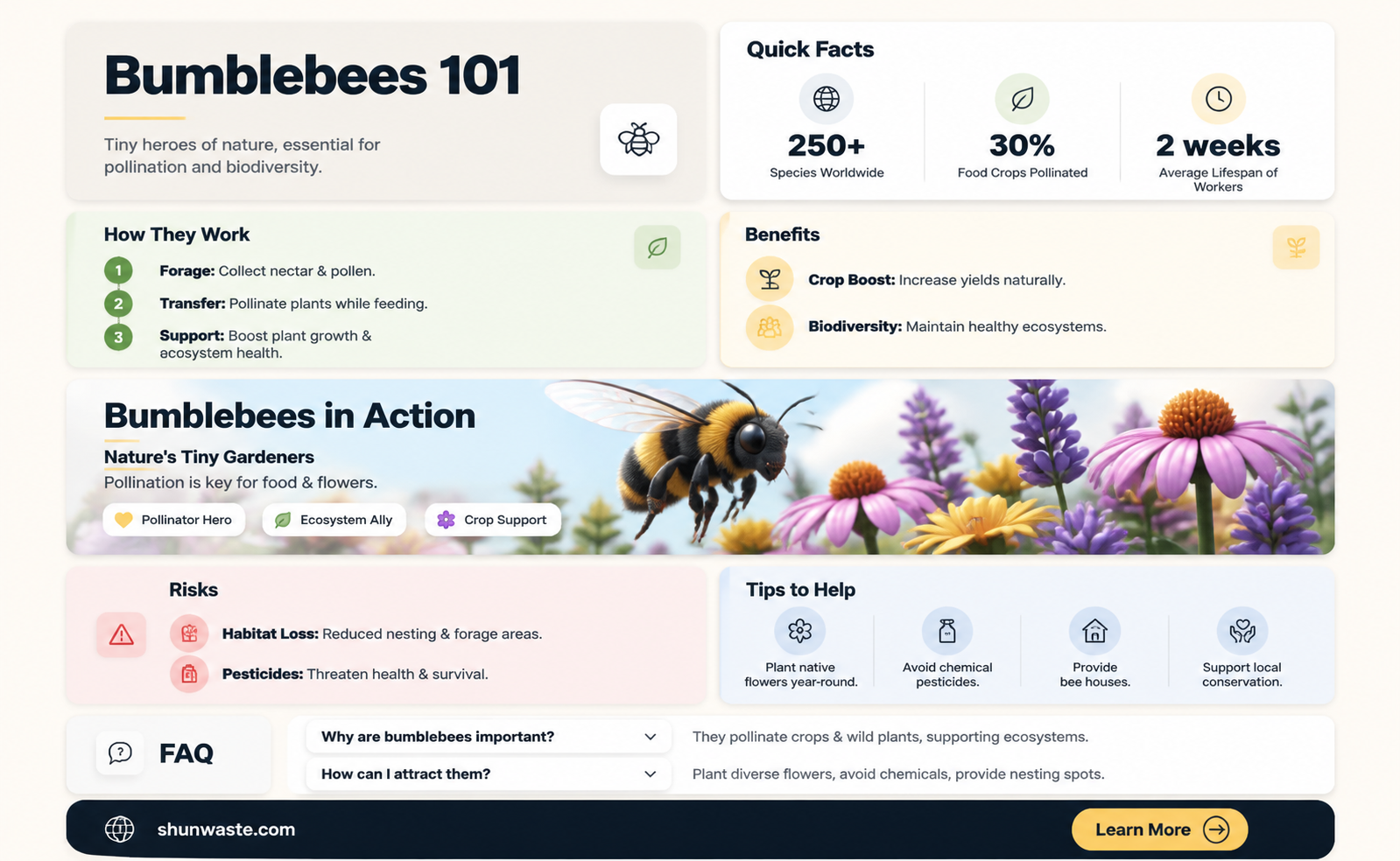 are bumblebees good for the environment