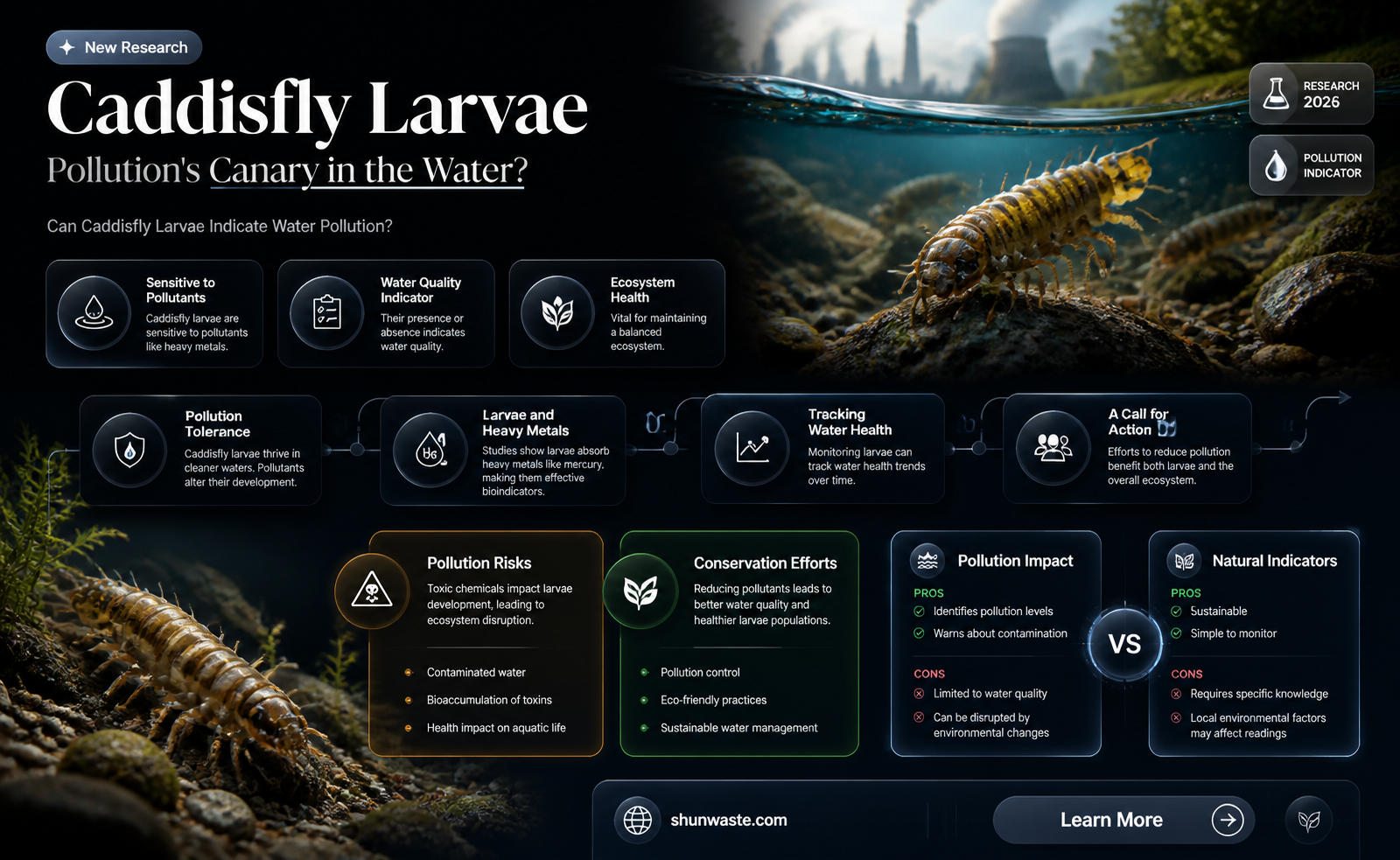are caddisfly larvae sensitive to pollution