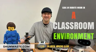Robots in Classrooms: Enhancing Learning or Overcrowding Education?