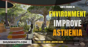 Revitalizing Spaces: How Environment Changes Combat Asthenia Effectively