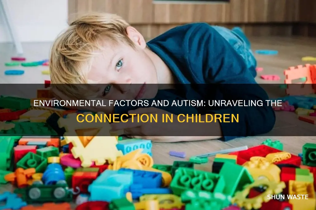 can a child get autism from an environment