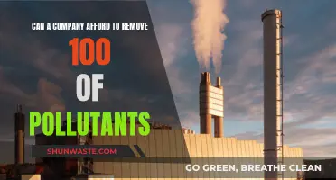 Pollution Removal: Can Companies Afford to Go All Out?