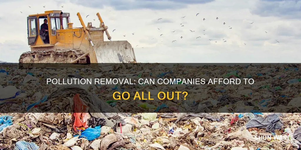 can a company afford to remove 100 of pollutants