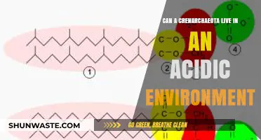 Crenarchaeota's Acidic Survival: Exploring Extreme Environment Adaptations