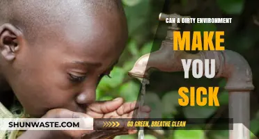 Dirty Surroundings, Sick Bodies: How Environment Impacts Your Health