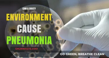 Dusty Air and Lung Health: Can Dust Trigger Pneumonia?