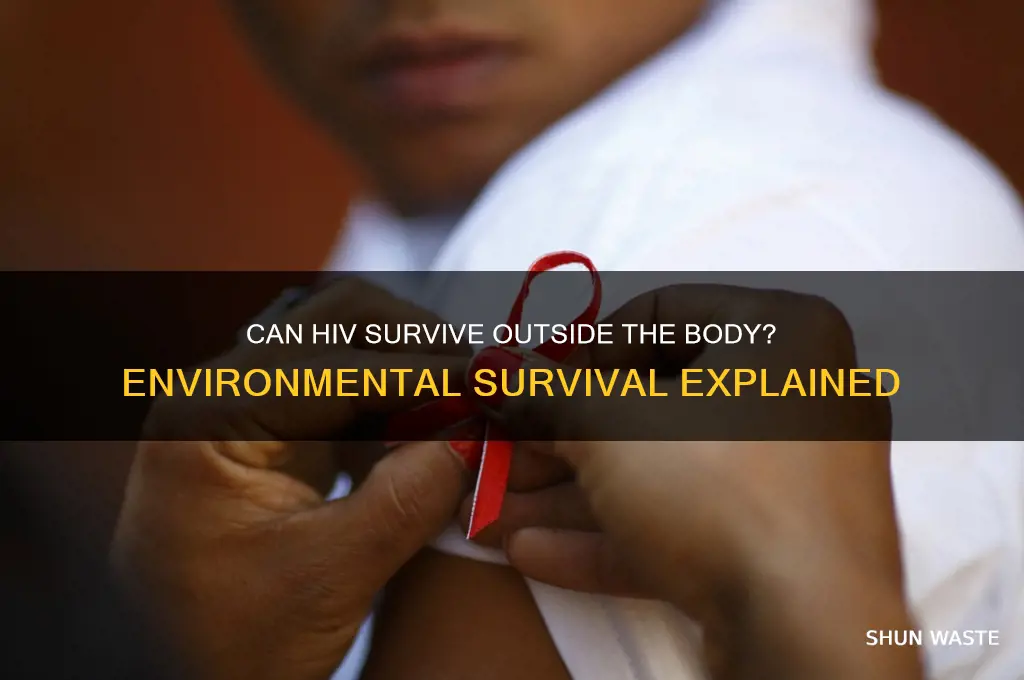 can a hiv virous servive in environment