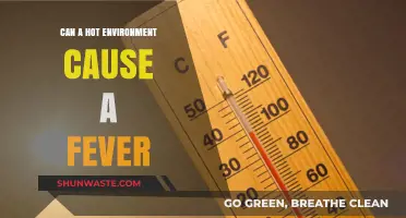 Hot Weather and Fever: Unraveling the Connection and Risks