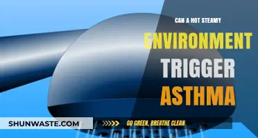 Hot, Steamy Air: Uncovering Its Impact on Asthma Triggers