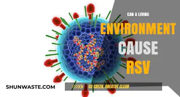 Can Your Living Environment Trigger RSV Infections? Exploring the Link