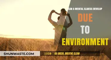 Environmental Triggers: Can Surroundings Cause Mental Illness Development?