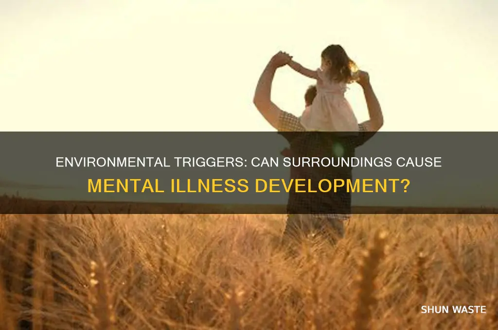 can a mental illness develop due to environment