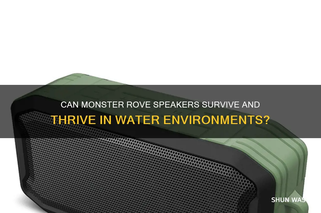 can a monster rove speaker be in a water environment
