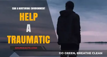 Healing Trauma: The Power of a Nurturing Environment for Recovery