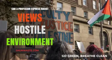 Professors, Racist Views, and Hostile Environments: Ethical Boundaries Explored
