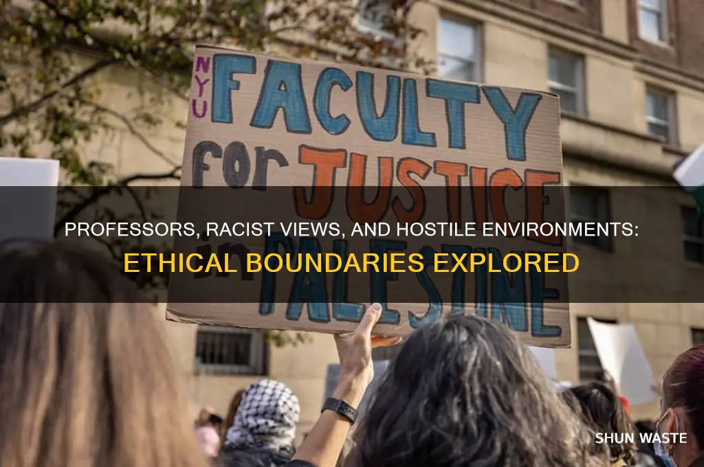 can a professor express racist views hostile environment