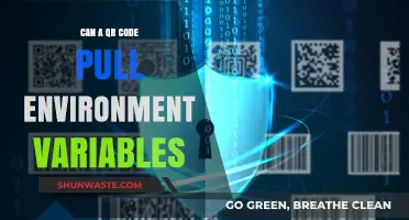 Can QR Codes Access Environment Variables? Exploring Security Implications
