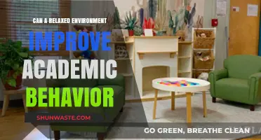 Relaxed Learning Spaces: Enhancing Academic Behavior and Student Engagement