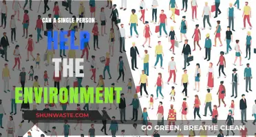One Person's Impact: How Individuals Can Save the Environment