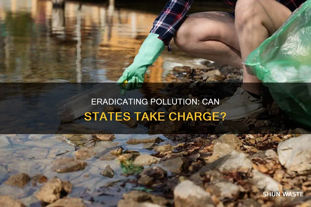 can a state remove pollution