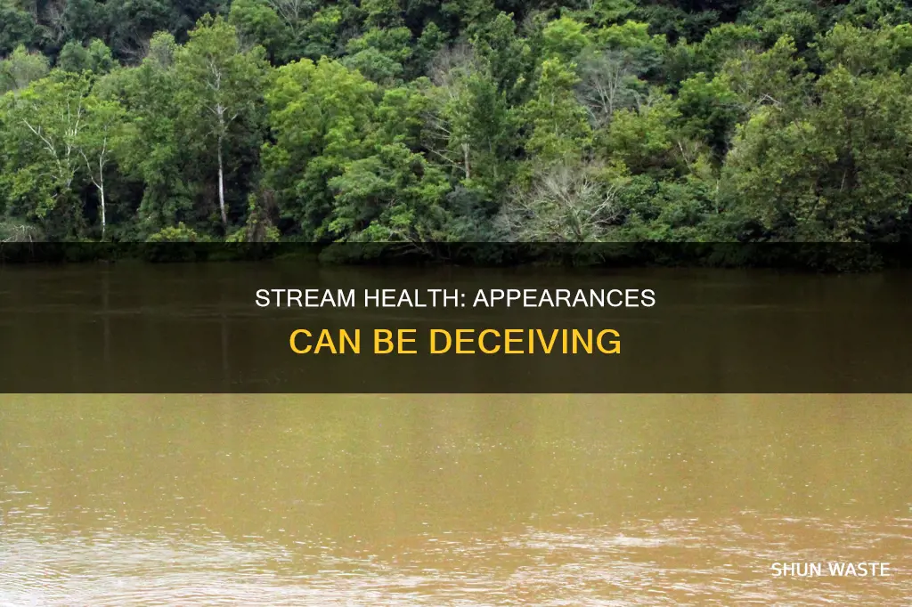 can a stream look polluted and still be healthy