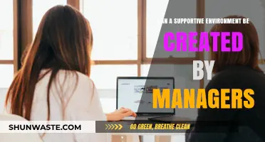 Fostering Success: How Managers Can Cultivate Supportive Work Environments