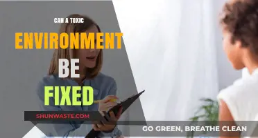 Healing Toxic Workplaces: Strategies to Transform and Restore Harmony