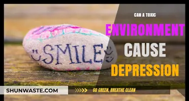 Toxic Surroundings: Unraveling the Link Between Environment and Depression