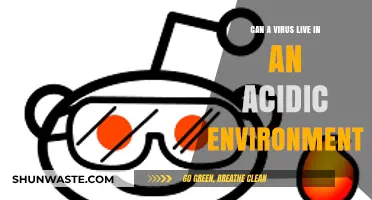 Can Viruses Survive in Acidic Environments? Exploring Microbial Resilience
