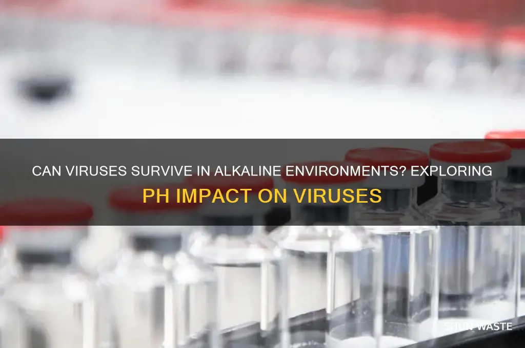 can a virus live in an alkaline environment