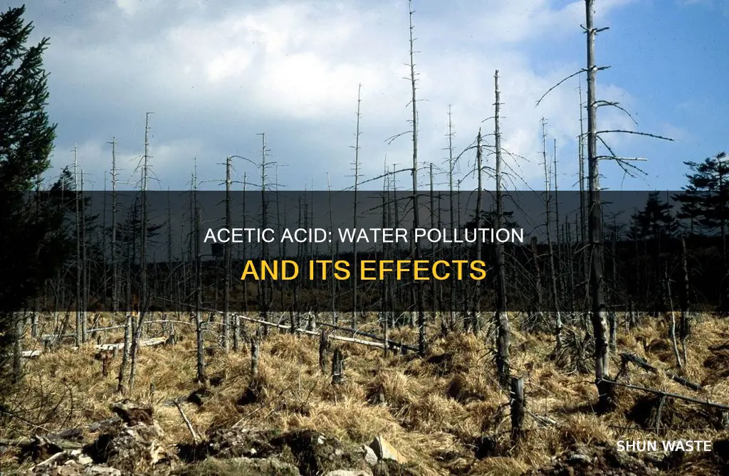 can acetic acid pollute water