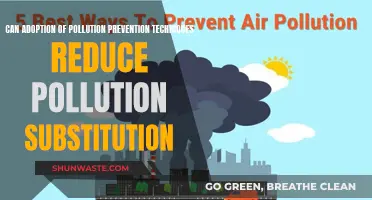 Adopting Techniques to Reduce Pollution and Substitutes