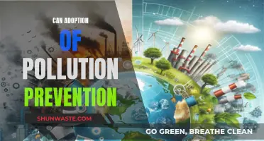 Adopting Pollution Prevention for a Greener Future