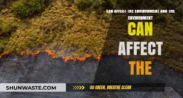 How Human Actions and Environmental Changes Shape Our Interconnected World