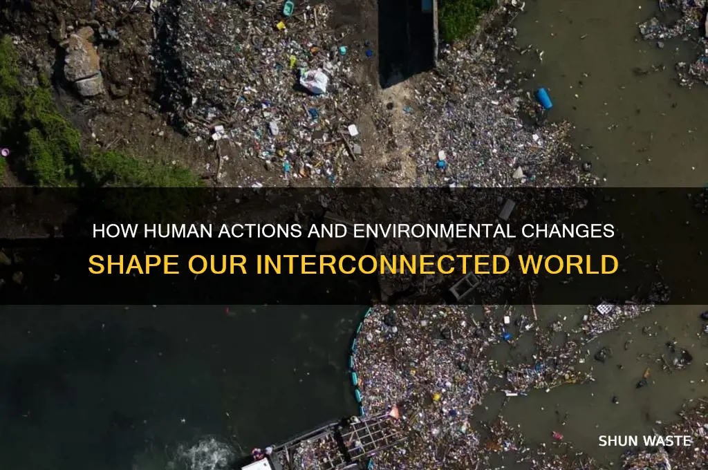 can affect the environment and the environment can affect the