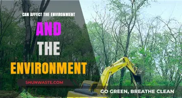 Human Actions Impact Nature: How We Shape Our Environment