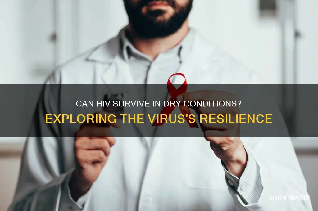 can aids virus survive in a dry environment