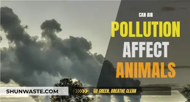 Air Pollution's Impact on Animals: A Concern?