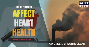 Air Pollution's Impact on Heart Health: What's the Link?