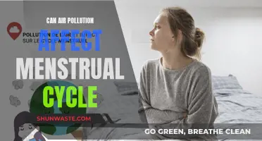 Air Pollution's Impact on Women's Menstrual Cycles