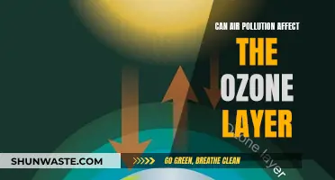 Air Pollution's Impact: Ozone Layer Protection