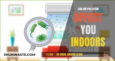 Air Pollution: Invading Your Indoor Space?