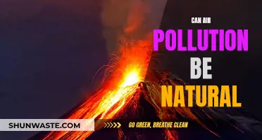 Natural Air Pollution: Is Nature to Blame?