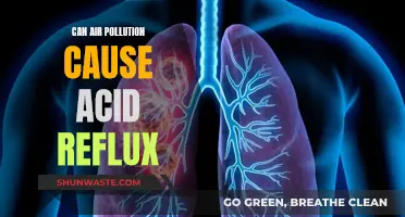 Air Pollution and Acid Reflux: Is There a Link?