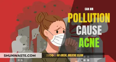 Air Pollution's Link to Acne: Is Your Skin at Risk?