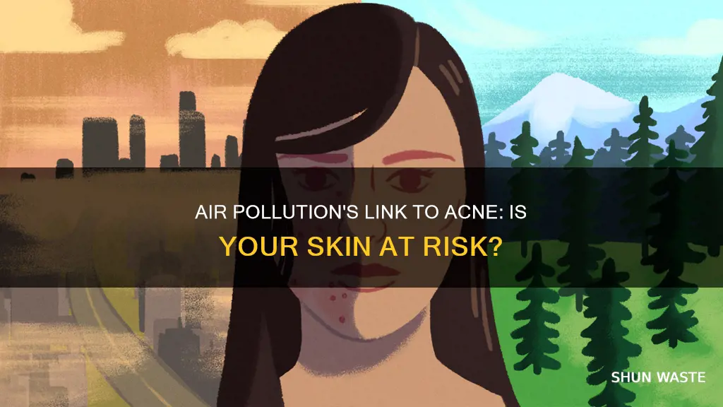 can air pollution cause acne