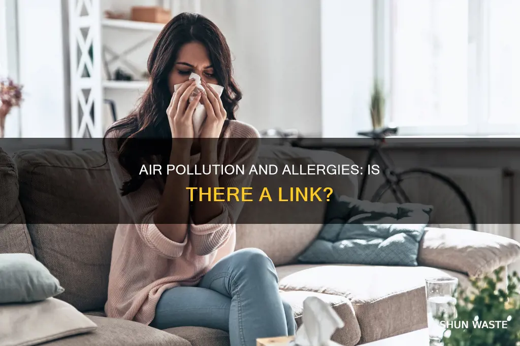 can air pollution cause allergies